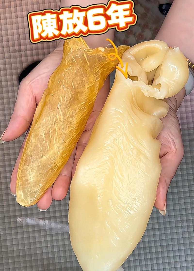 陳放6年老黃花膠