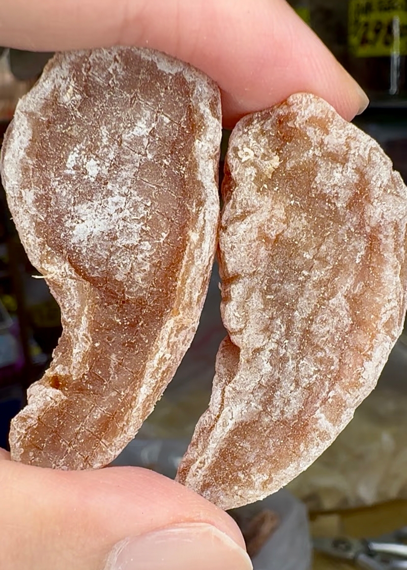 印尼野生特級珍珠肉