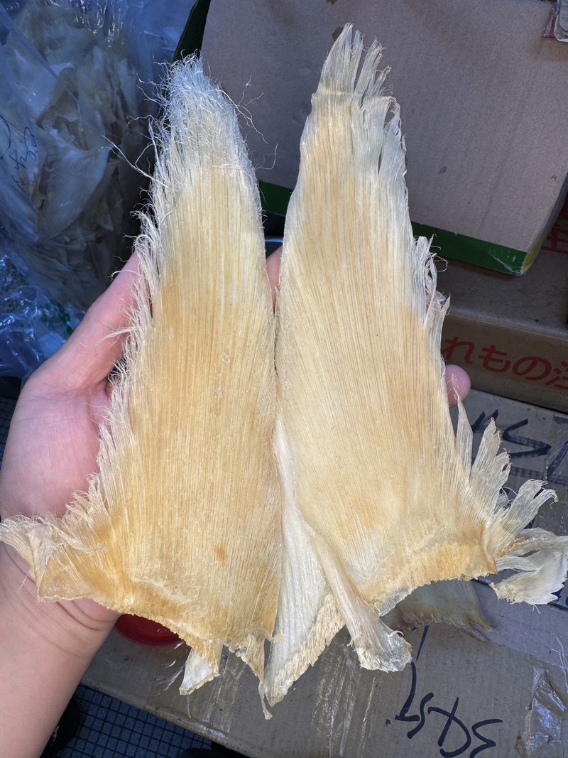 淨頭淨骨青片翅10-12寸
